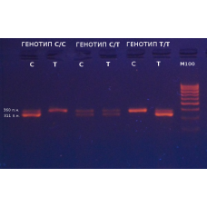 Neo-Gene_5-HTR2A  T102C